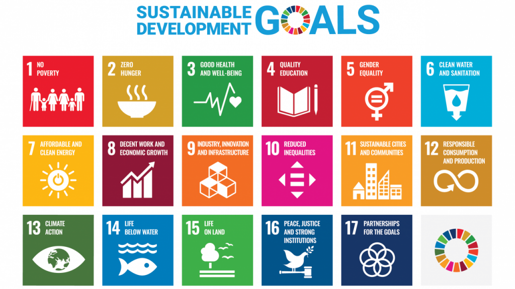SDG Leadership in The Digital Era Sustainability